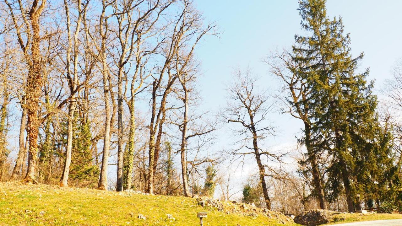 La Garenne De Morestel Dış mekan fotoğraf